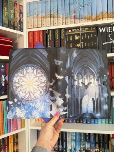The knight and - the, book
