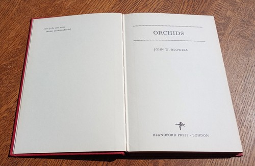 Orchids w blowers - orchids,