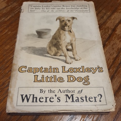 Antique book captain loxley - antique,