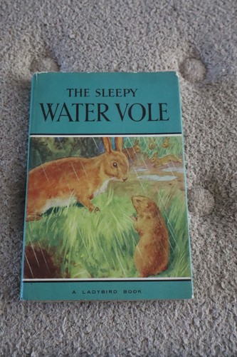 Vintage ladybird book the - book,