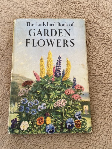 Vintage ladybird nature - nature, book