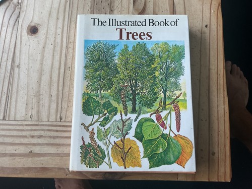 The illustrated book trees - illustrated,